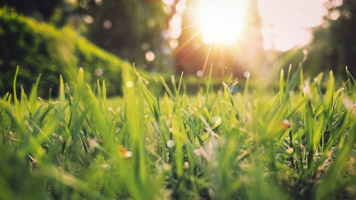 Wednesday Spring Outside Best Spring Activities To Do Outside – COLDEST Wholesale
