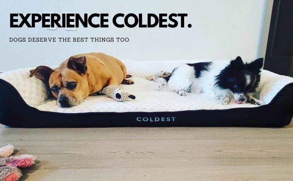 Looking for the Perfect Christmas Gift? LETS FIND OUT! - Coldest