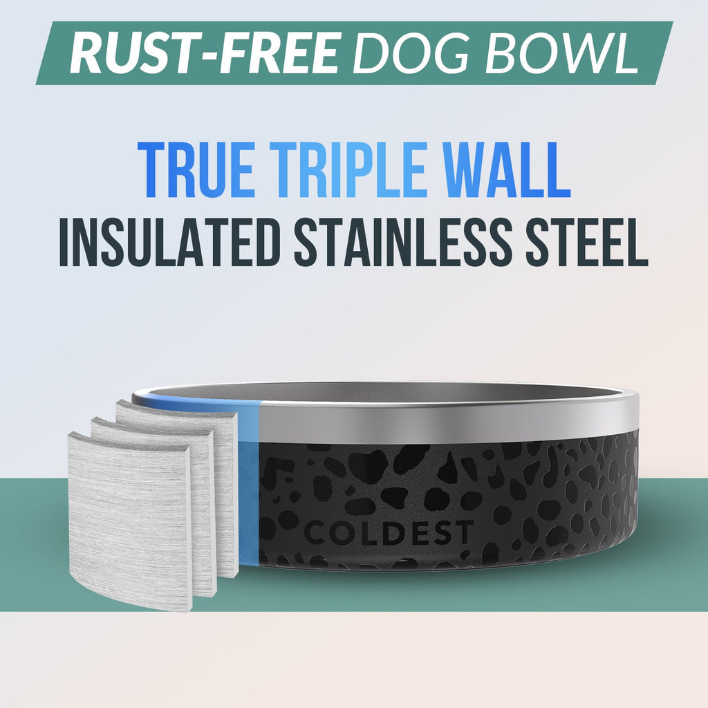 Coldest Dog Bowl 42oz - Coldest