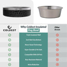 Coldest Dog Bowl 42oz - Coldest