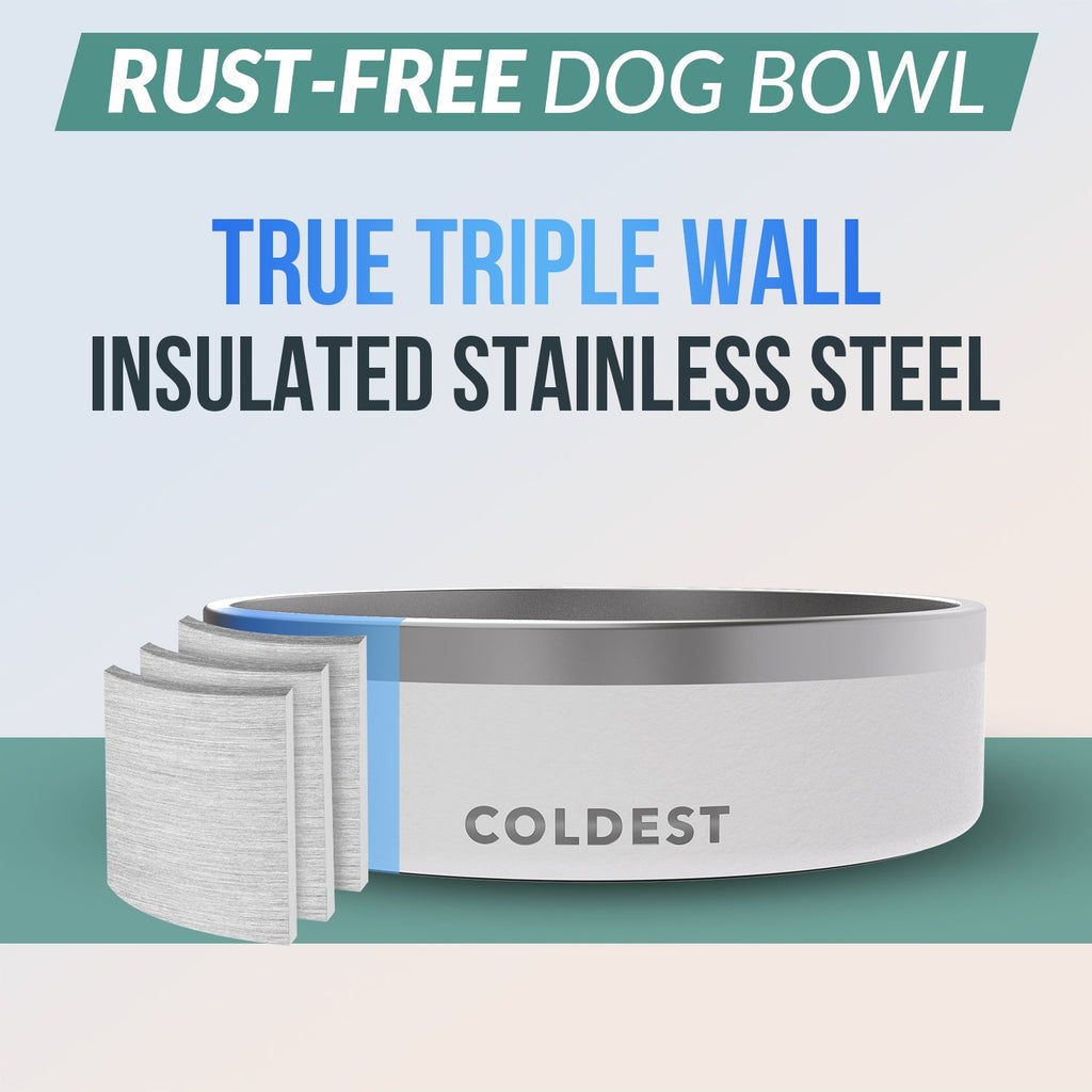 Coldest Dog Bowl 42oz - Coldest